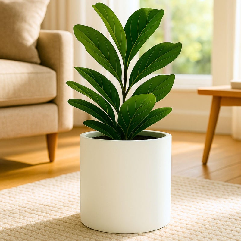 Fox & Fern 10 Inch Plant Pot with Drainage Plug â€” Premium Lightweight Fiberstone Matte White Planter - Indoor & Outdoor Planter - 10 Inch Pots for Plants Indoor - Weather & UV Resistant - Image 1